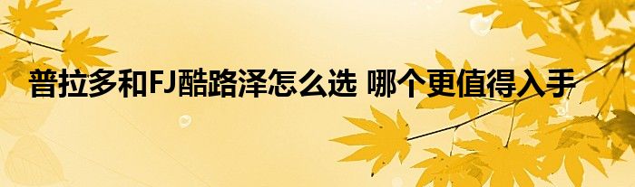 普拉多和FJ酷路泽哪个更值得入手？后者内饰与其外观相一致