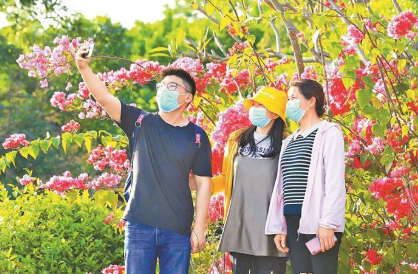 深圳各大公园限流有序开放 市民来到公园感受春的气息