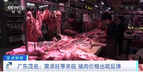 猪价将回落正常水平？瘦肉价格普遍三十多元一斤