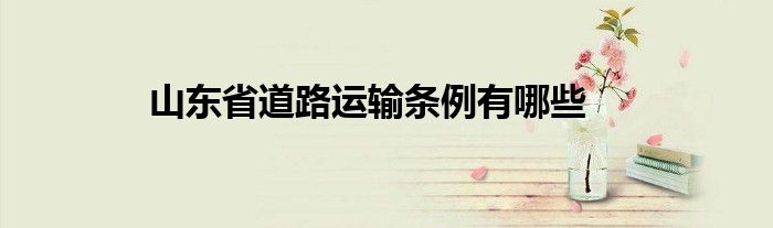 山东省道路运输条例有哪些？应当遵循科学发展、统筹规划等