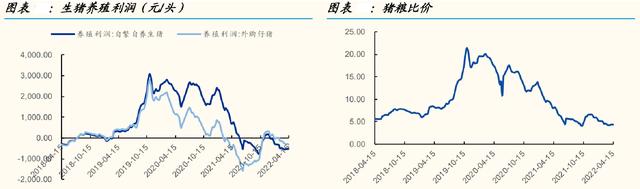 猪价将回合理水平 进一步大幅下跌的可能性较小