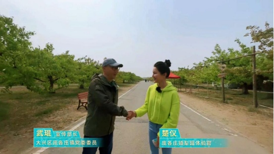 龐各莊鎮第29屆梨花節打造“文旅+”云上推介新體驗