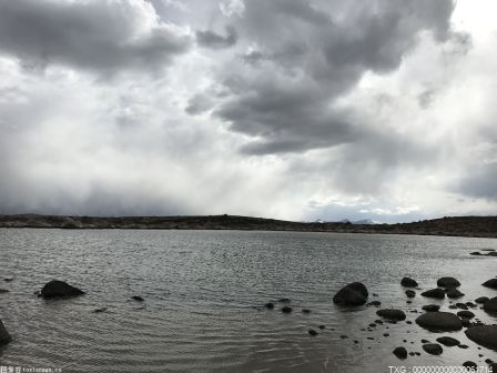 研究发现：海草底部蔗糖浓度约比记录高80倍