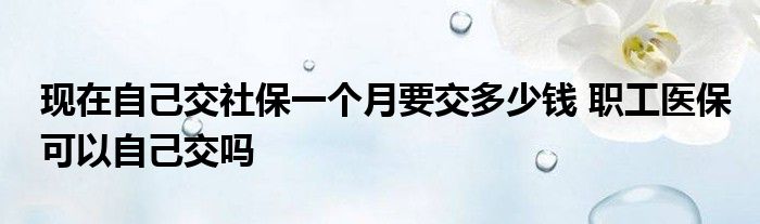 现在社保个人缴纳多少钱一个月 非本地居民不能自己缴纳医保？