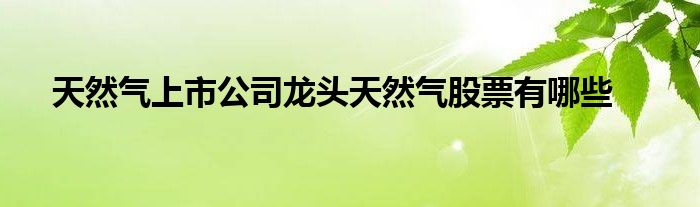 天然气上市公司股票龙头有哪些?深圳能源、中集集团等
