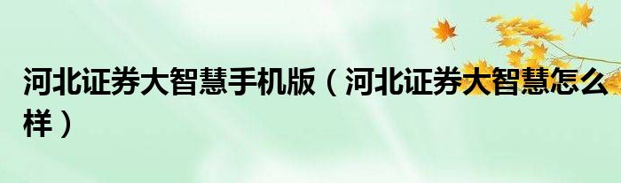 河北证券大智慧手机版怎么样？有更快的行情揭示技术等