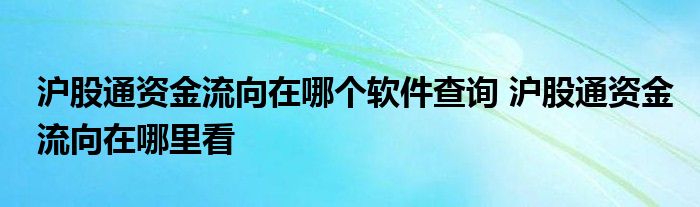 沪股通资金流向在哪个软件查询？操作流程是什么？