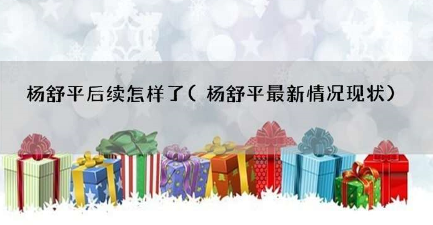 美国留学生杨舒平现状 杨舒平后续怎样了？找到工作了吗？