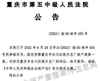 因不能清偿到期债务且资不抵债等 重庆合川桃片总厂破产了