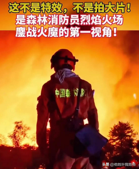 重庆山火中的军民同心 再一次让全世界看到了中国力量