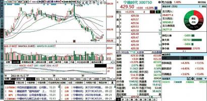 锂电继续收获全球电动化红利 璞泰来(603659) 一体化战略初见成效