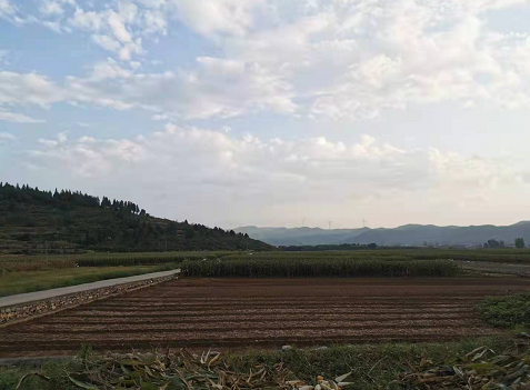 河北推动土壤资源永续利用 确保老百姓吃得放心