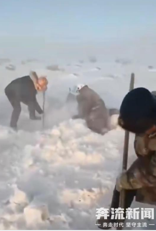 罕见暴风雪袭击新疆阿勒泰 富蕴县影响最严重