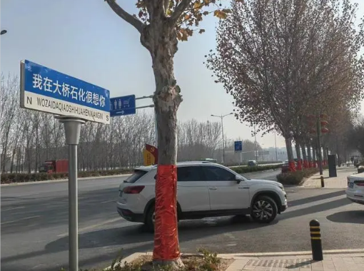郑州大桥石化一加油站占用公共绿化带 将企业广告牌模仿成了“路名牌”？