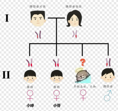 夫妻连生两胎均患怪病性别难辨 常染色体隐性遗传病了解一下