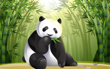 丫丫回国为何关注度这么高？大熊猫在国内生活会受到哪些保护？