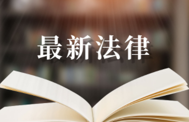 个人能在村河道上建桥吗？农村河上自建桥合法吗？|每日热点